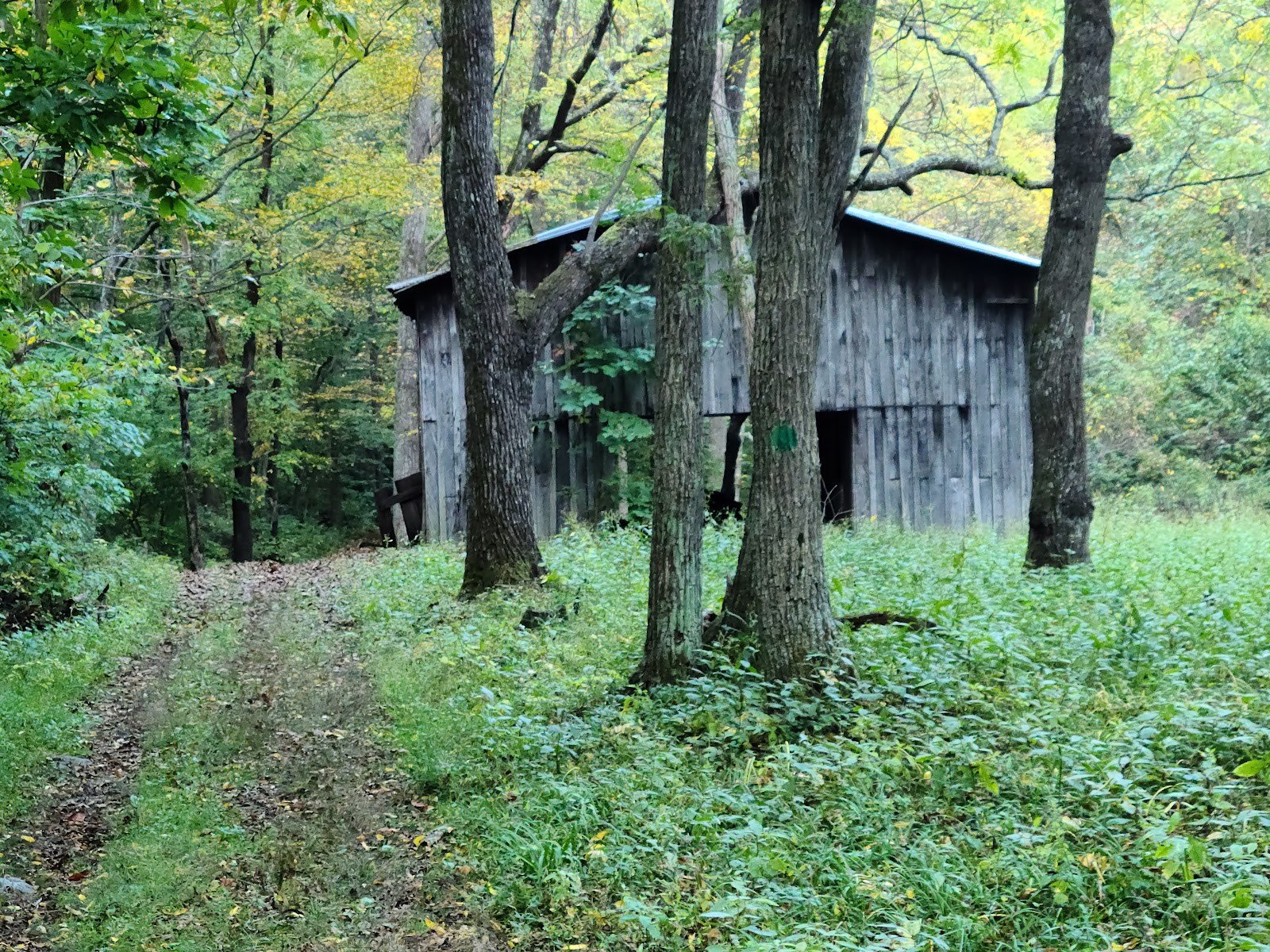 Rocky Knob Campground - Blue Ridge Parkway National Park