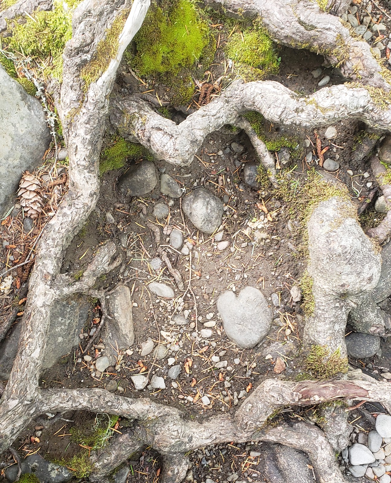 Trout Lake Creek Campground