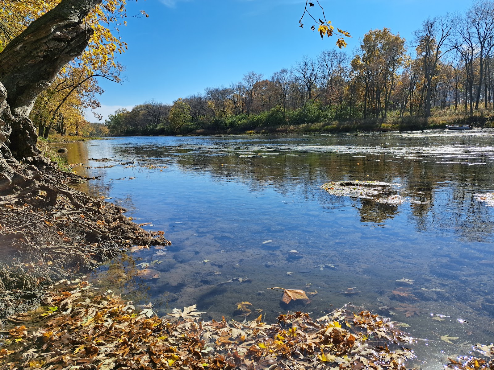 Potowatomi - Kankakee River State Park