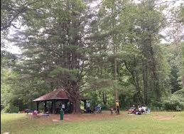 Elizabeth Furnace Campground