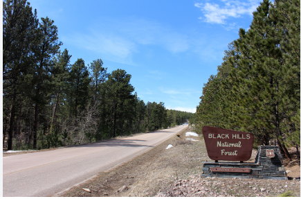 Black Hills National Forest