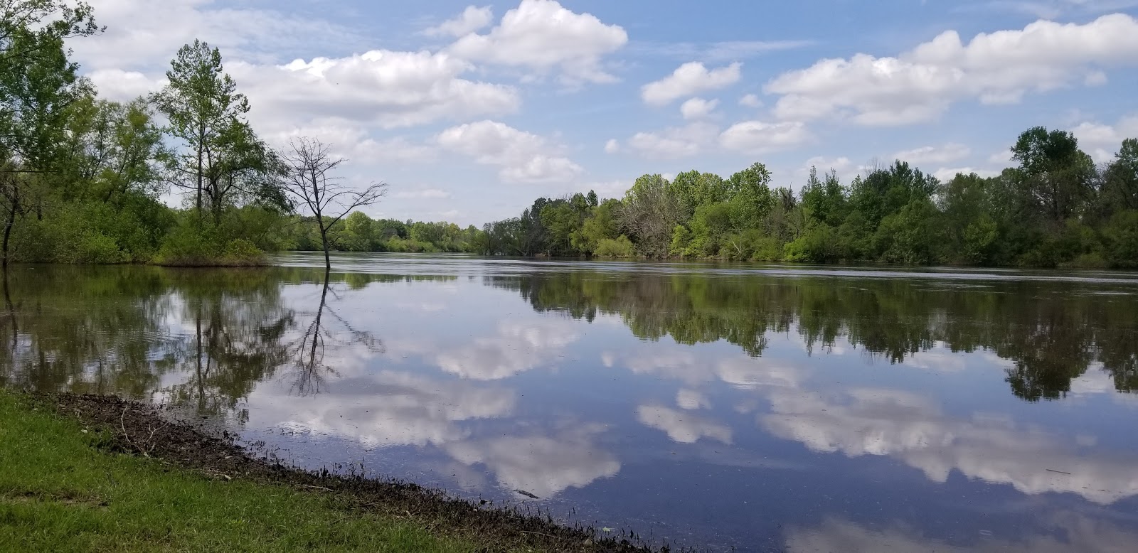Brad's Old Ferry Landing Campground & RV Park
