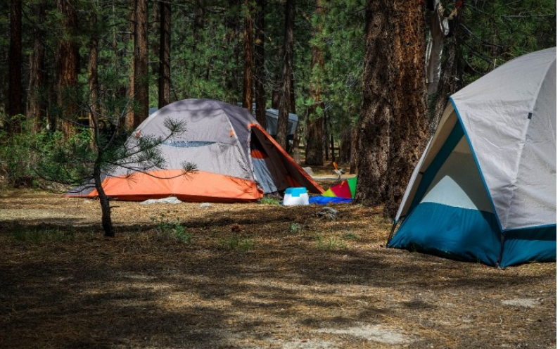 Meadows Group Campground
