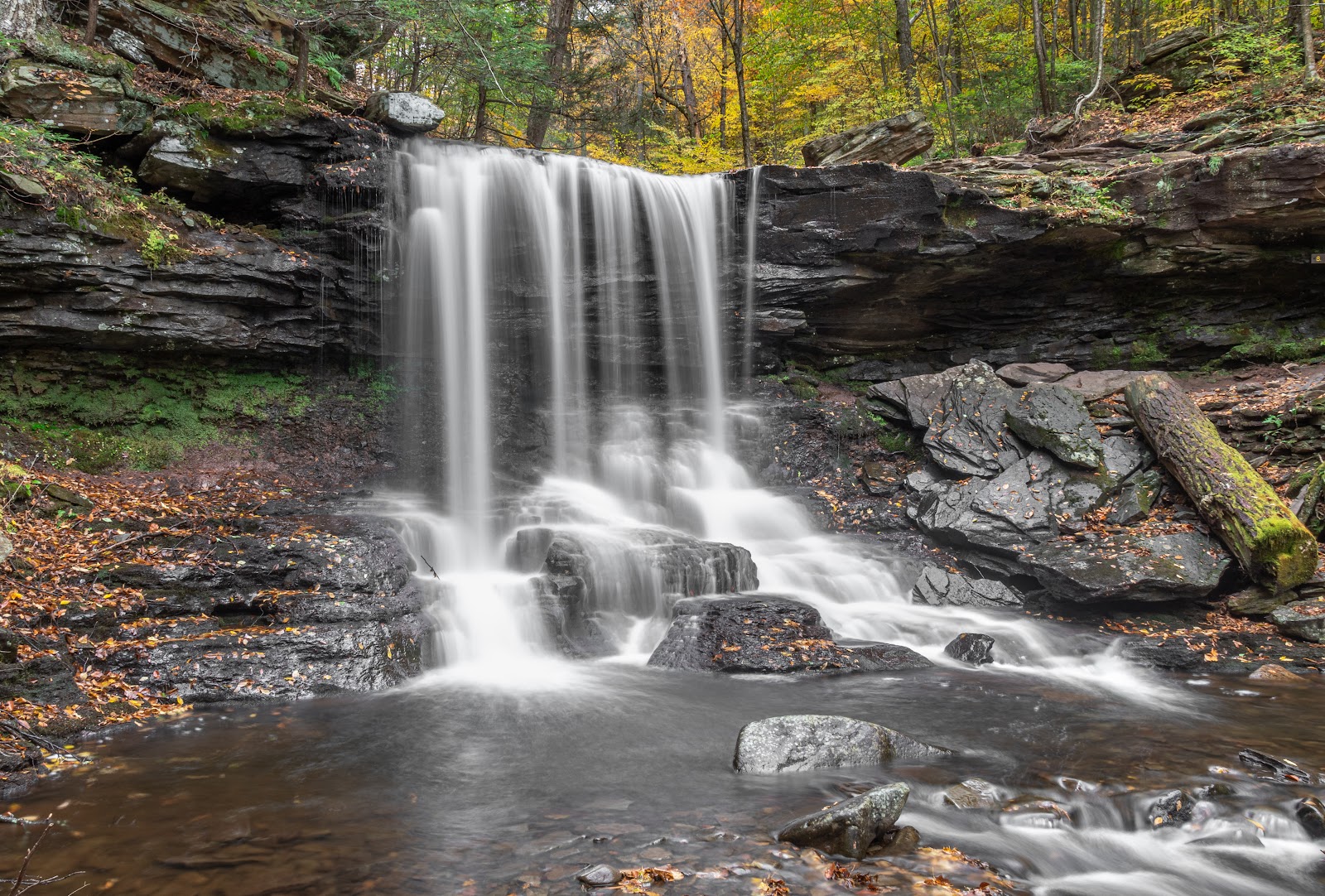 Ricketts Glen
