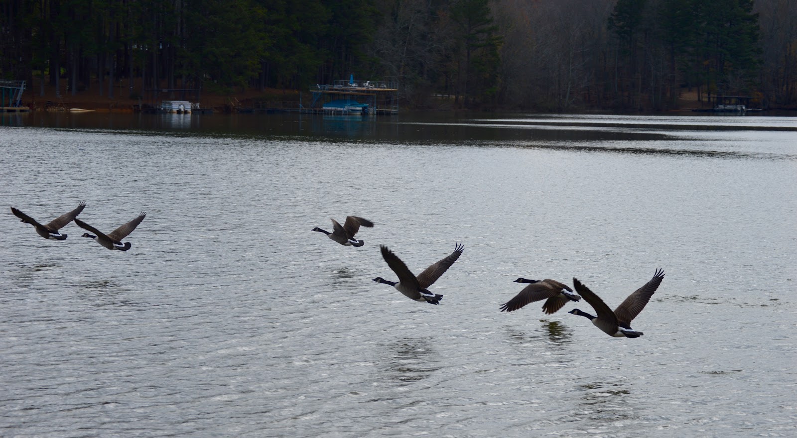 Thompson Creek Park Shelter (GA)