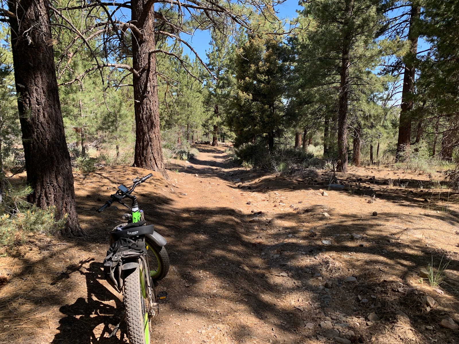 Green Spot Equestrian Group Camp
