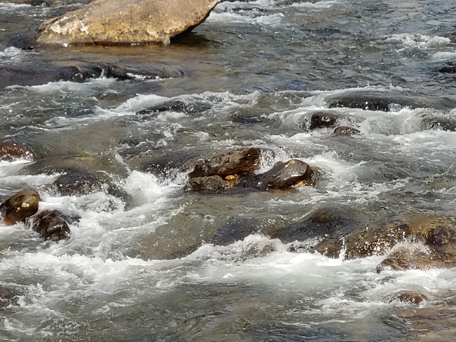 Big Rock NF Campground