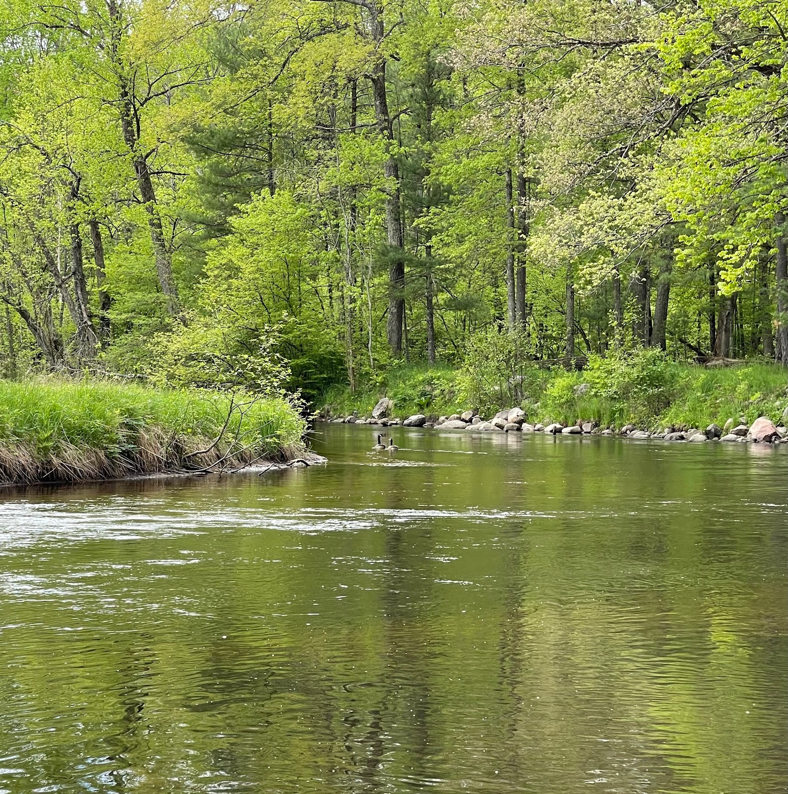 Bowman Bridge NF Campground