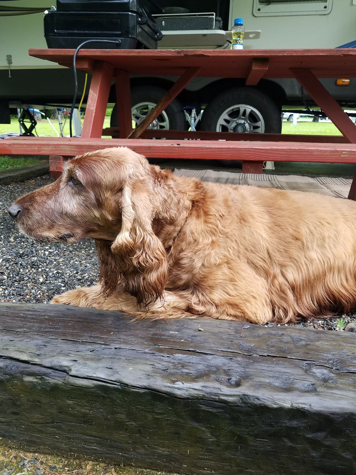 Sugar Mill Creek RV Resort