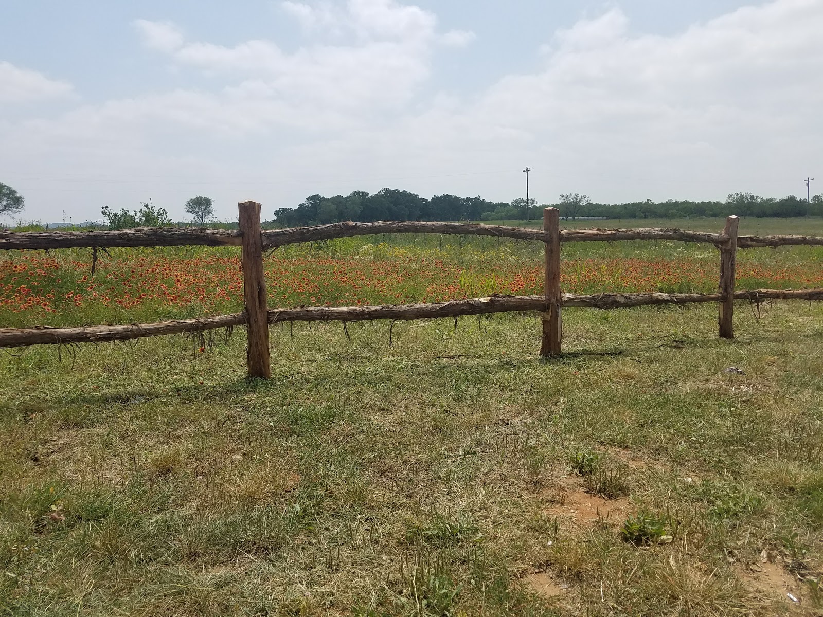 Fredericksburg Texas KOA