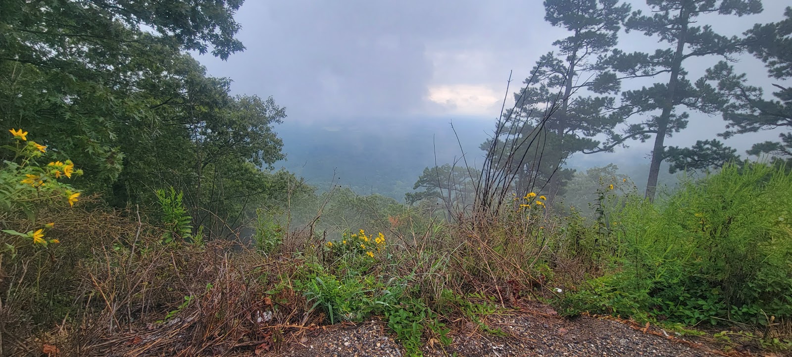 Earthquake Ridge Trail