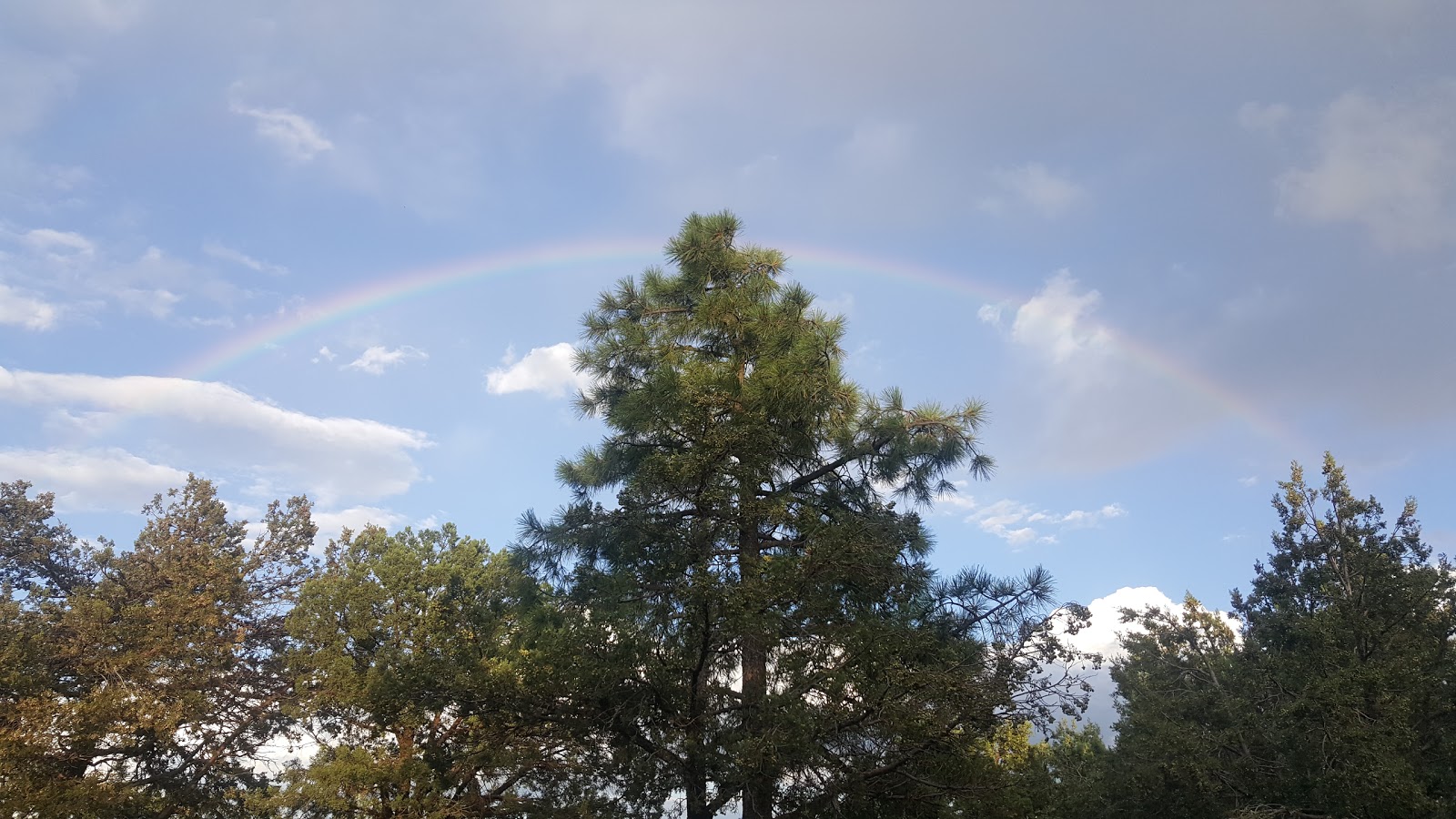 Scott Reservoir Campground