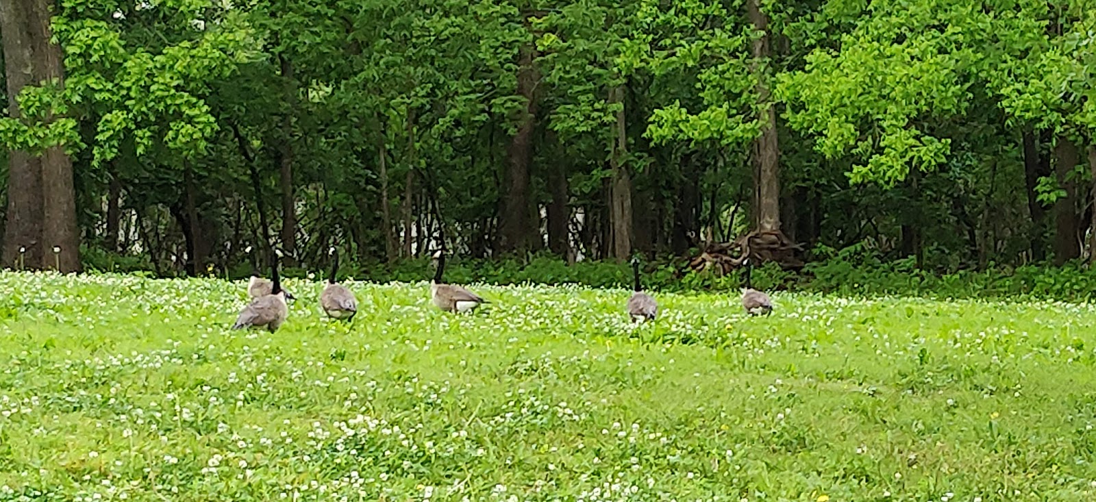 City of Osceola RV Park