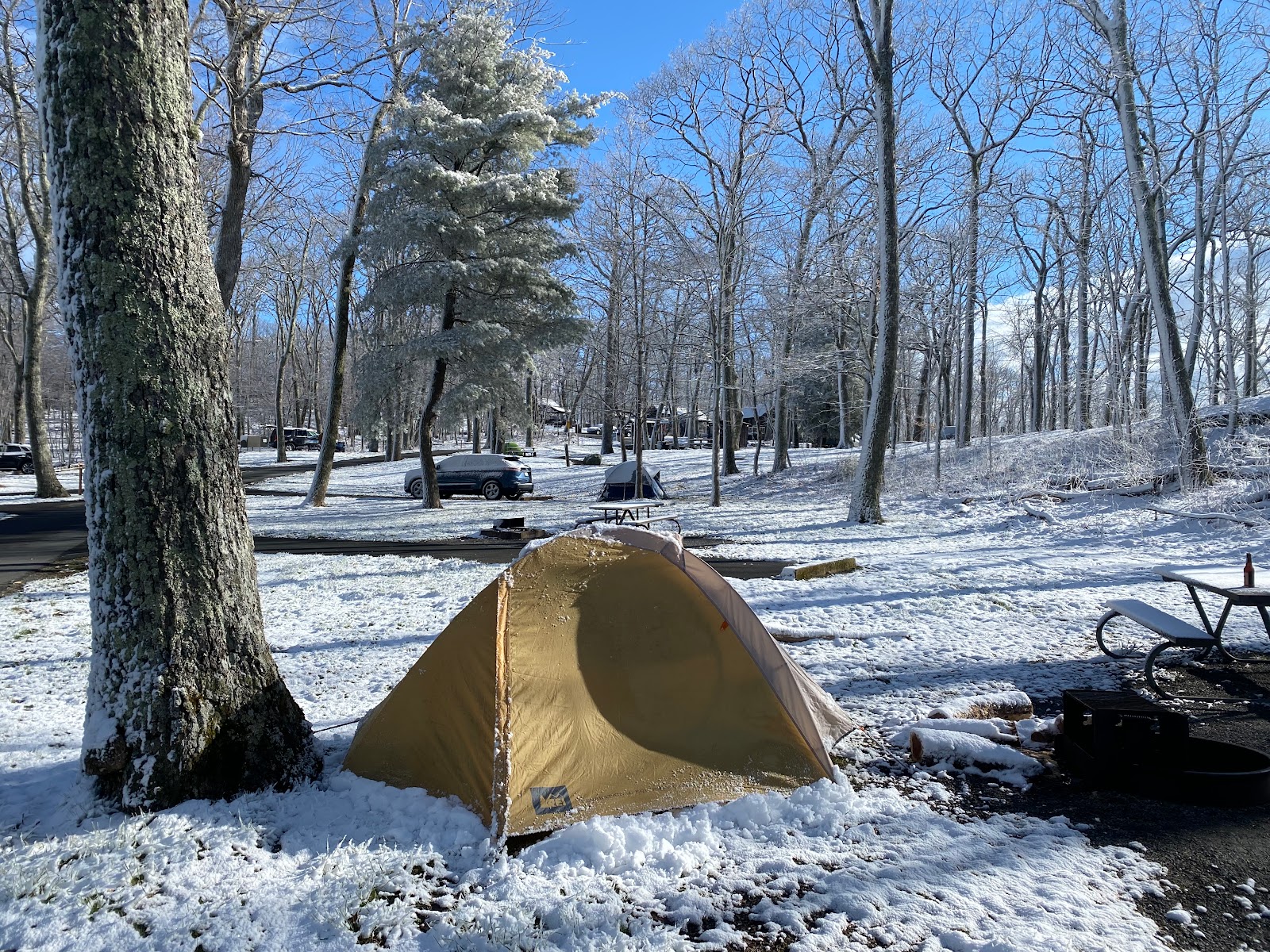 Lewis Mountain Campground - Shenandoah National Park