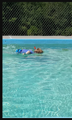 Burns Lake Campground