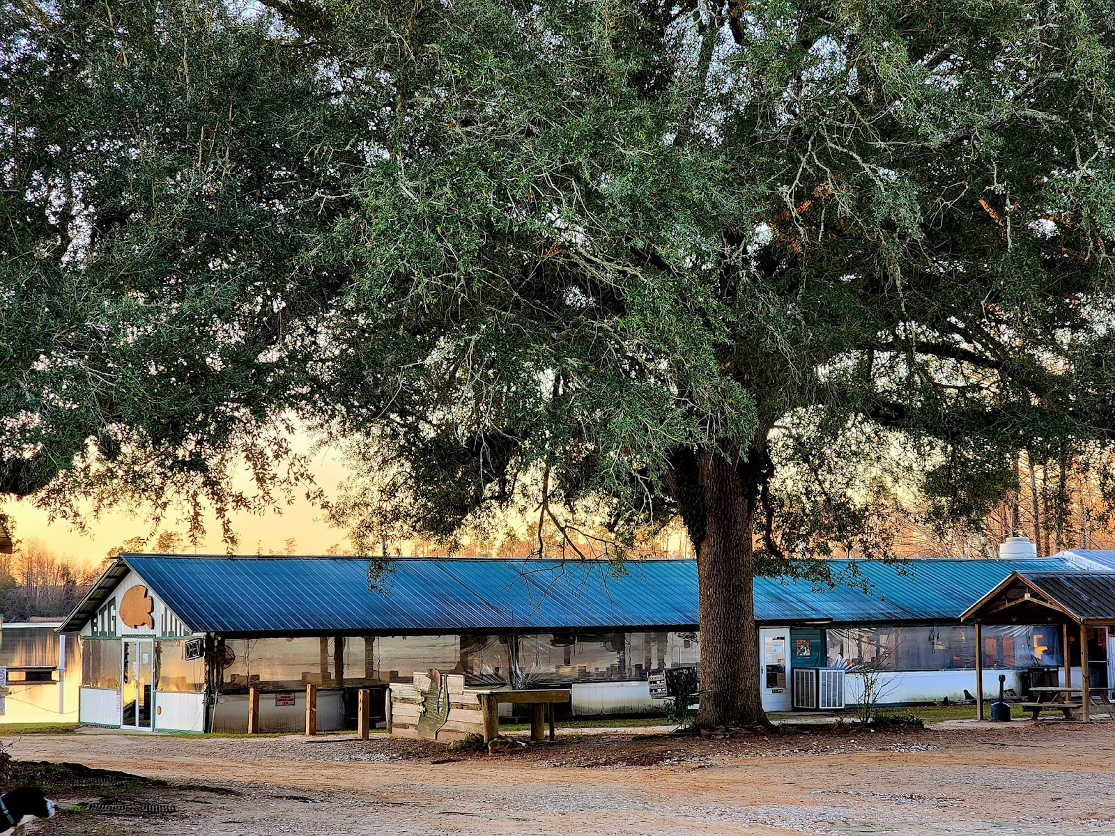 Spring Creek Park & RV