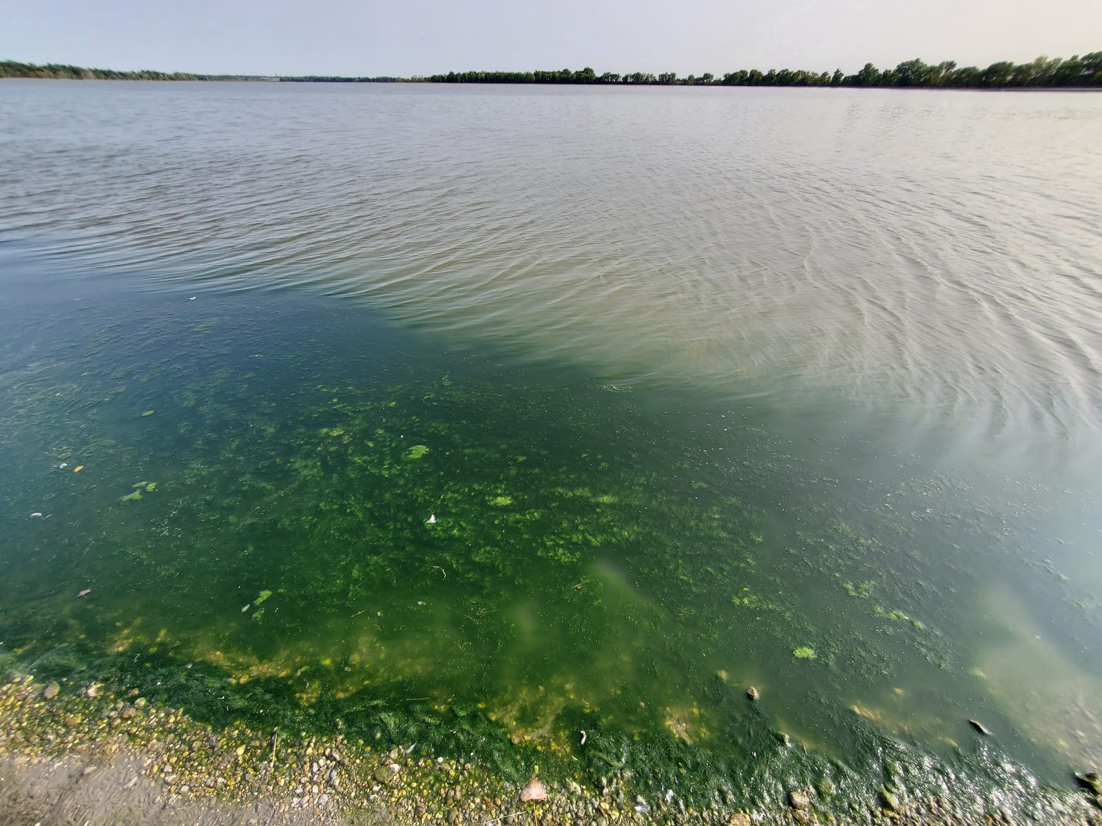 Sandy Point County Park Minnesota