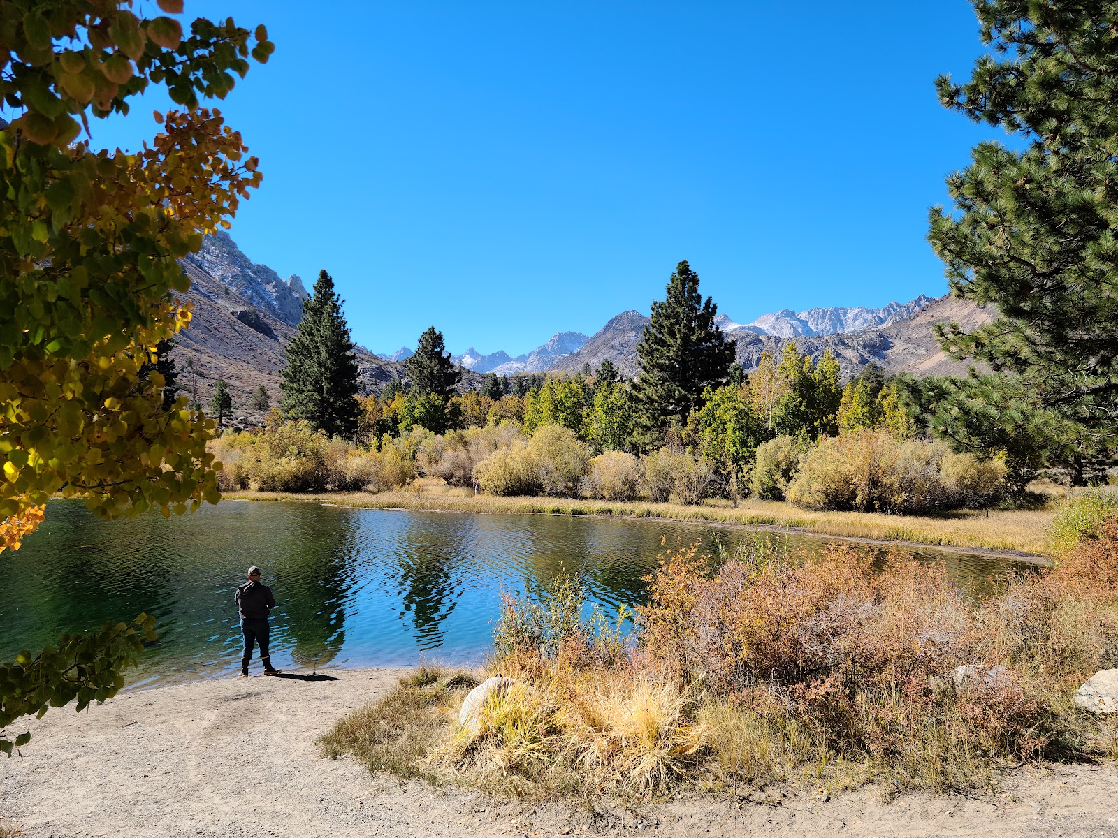 Bishop Park Campground