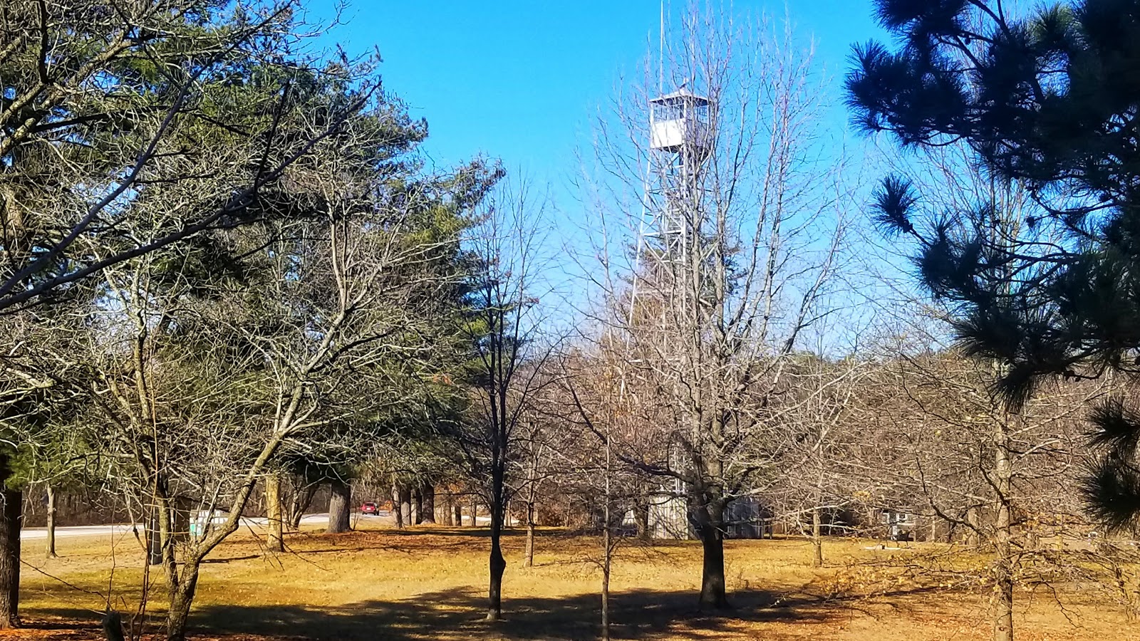 Big River State Forest