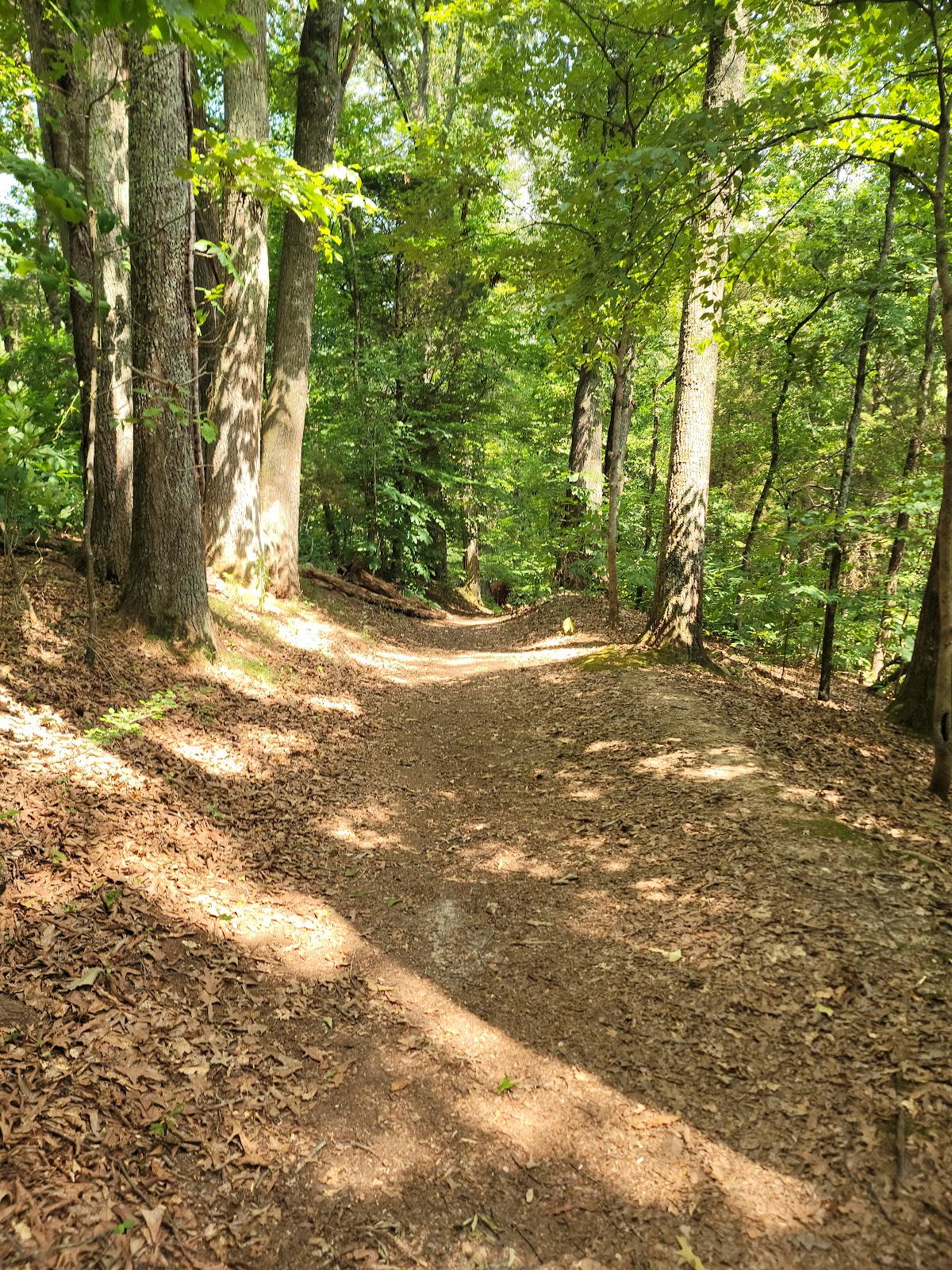 Warriors' Path State Park