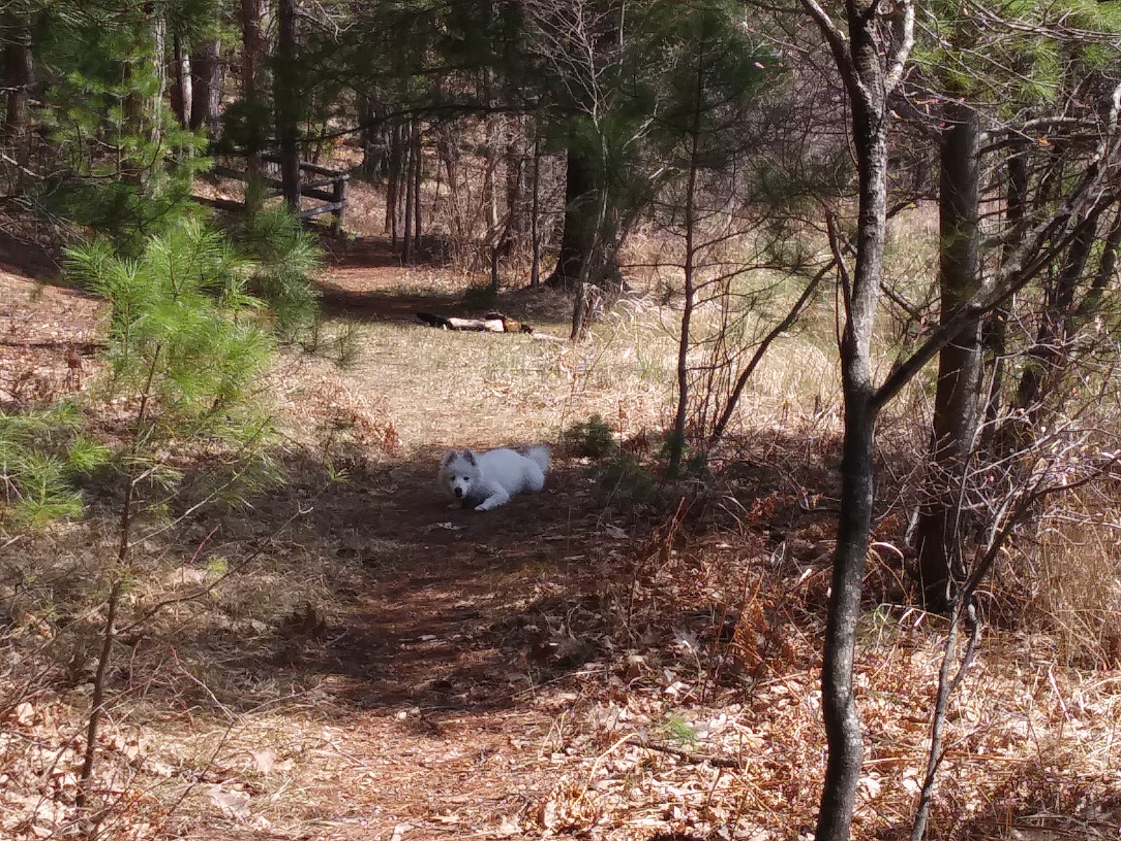 Guernsey Lake Campground