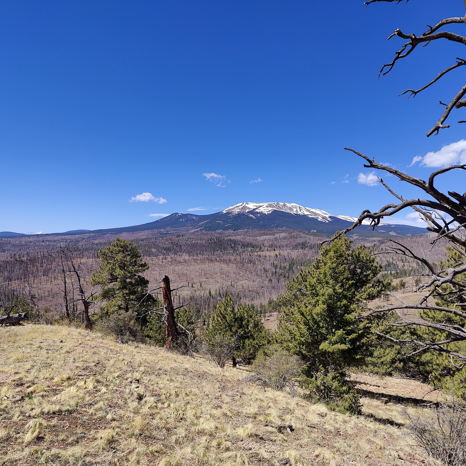 Buffalo Springs Campground