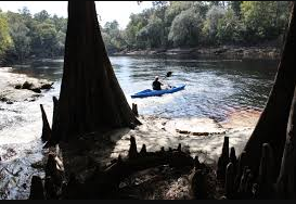 Suwannee River Campground