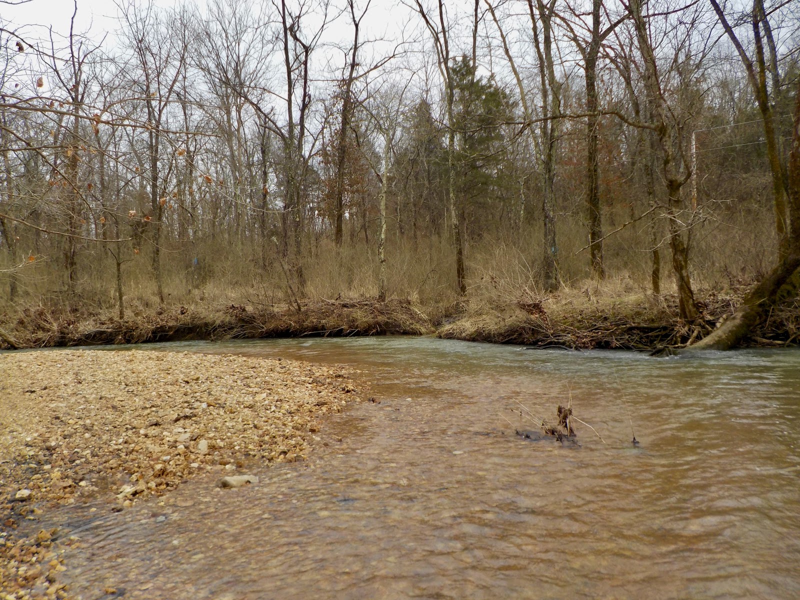 Blue Springs Ranch & Resort