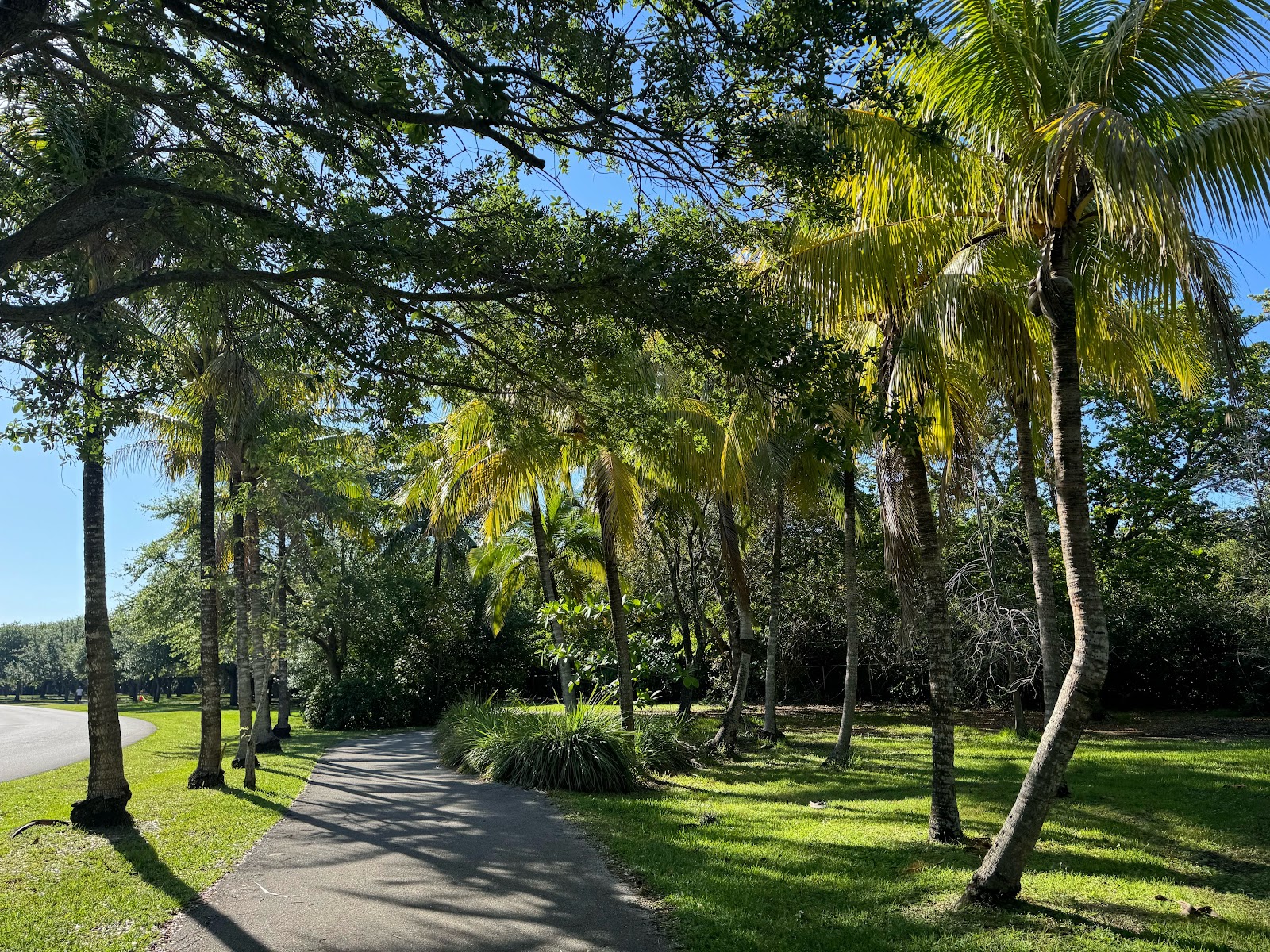 Topeekeegee Yugnee Park / Whispering Pines