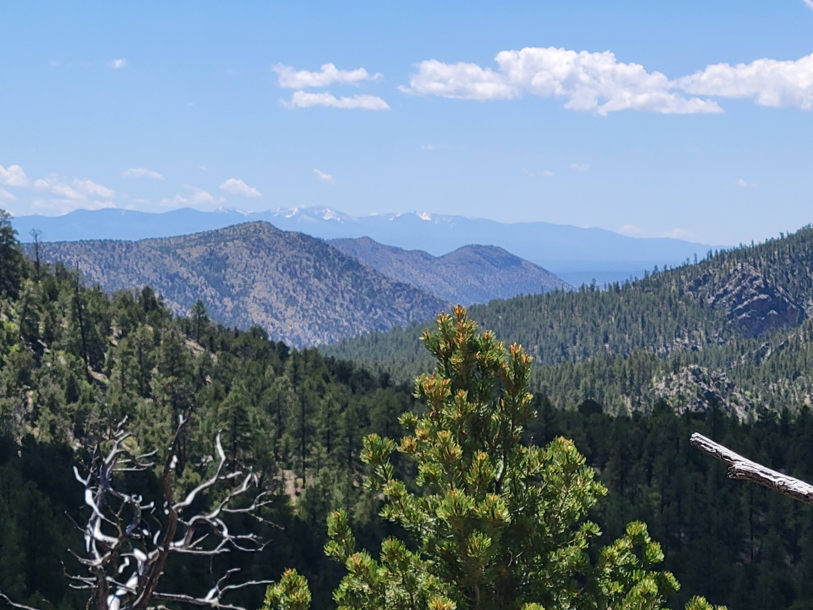 Cruces Basin Campground