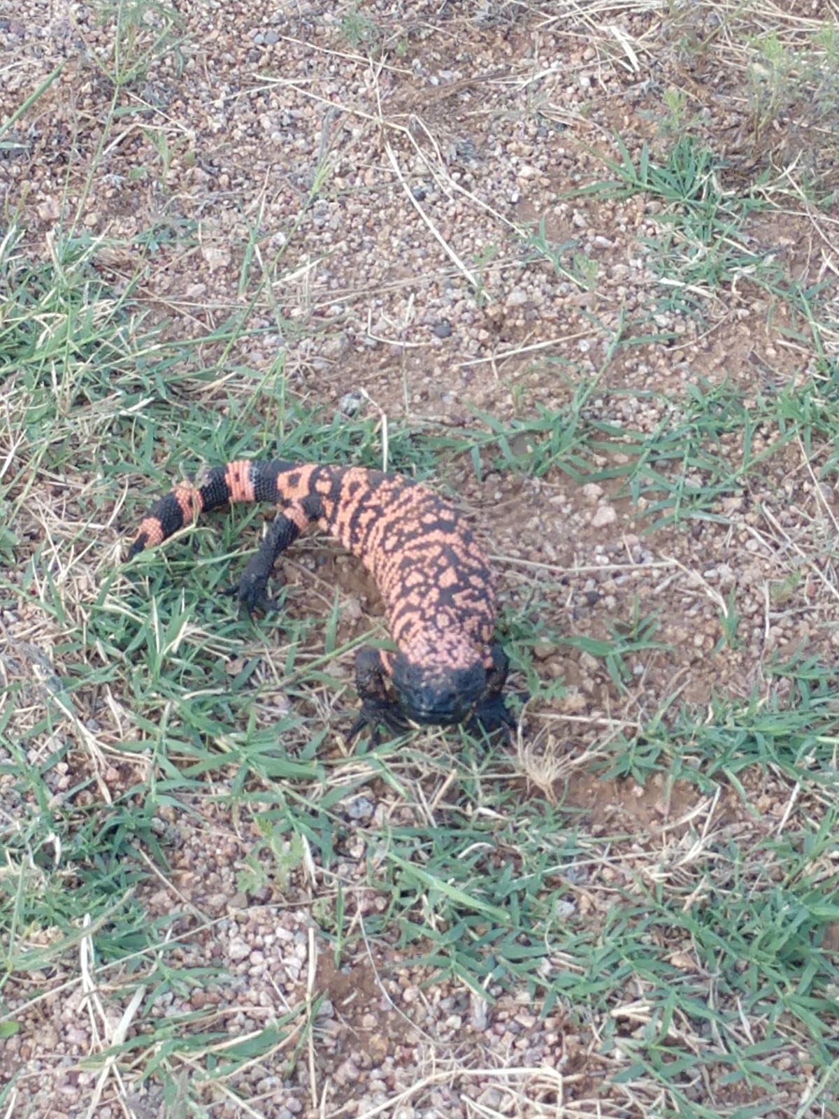 HCR Horse Ranch And RV Park