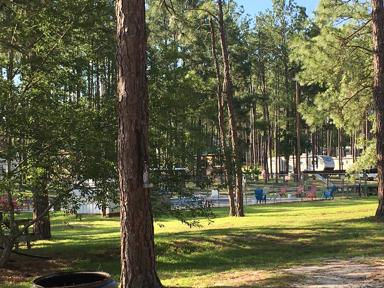 Pine Lake Resort and Campground