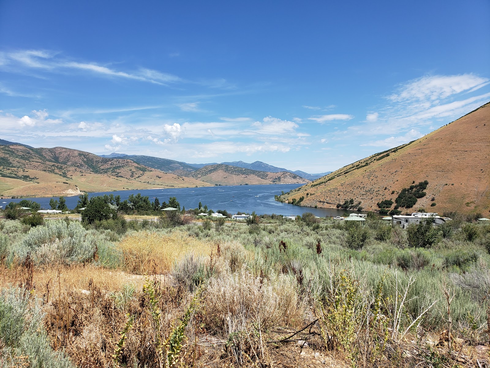 Great Horned Owl Campground