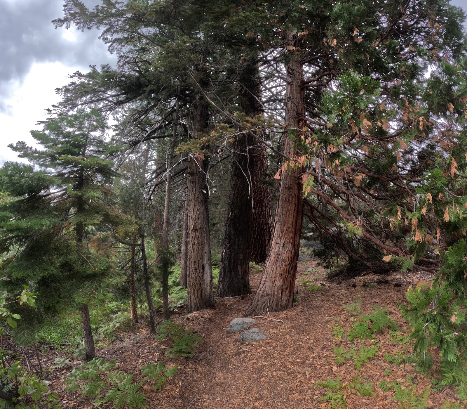 Ward Lake Campground