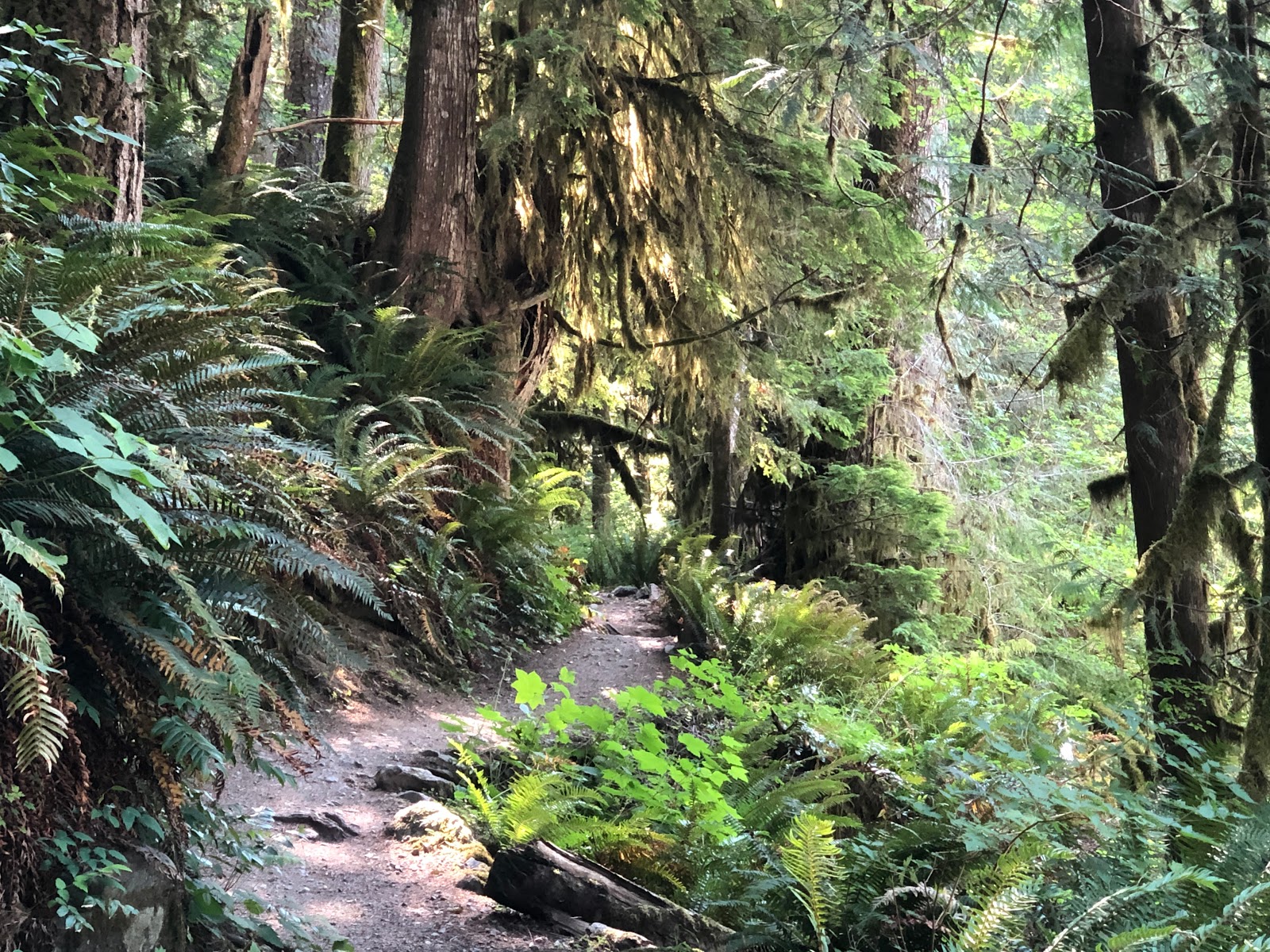 Douglas Fir Campground