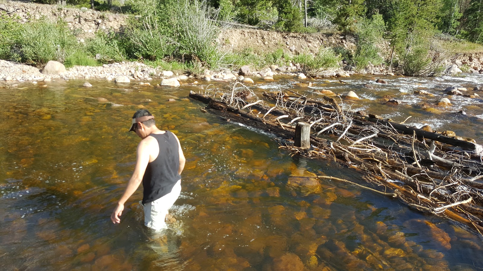 Shady Dell Campground