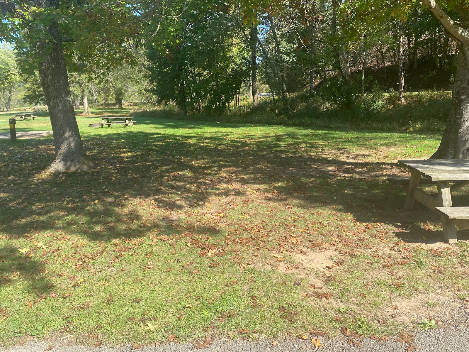 Beech Fork Campgrounds