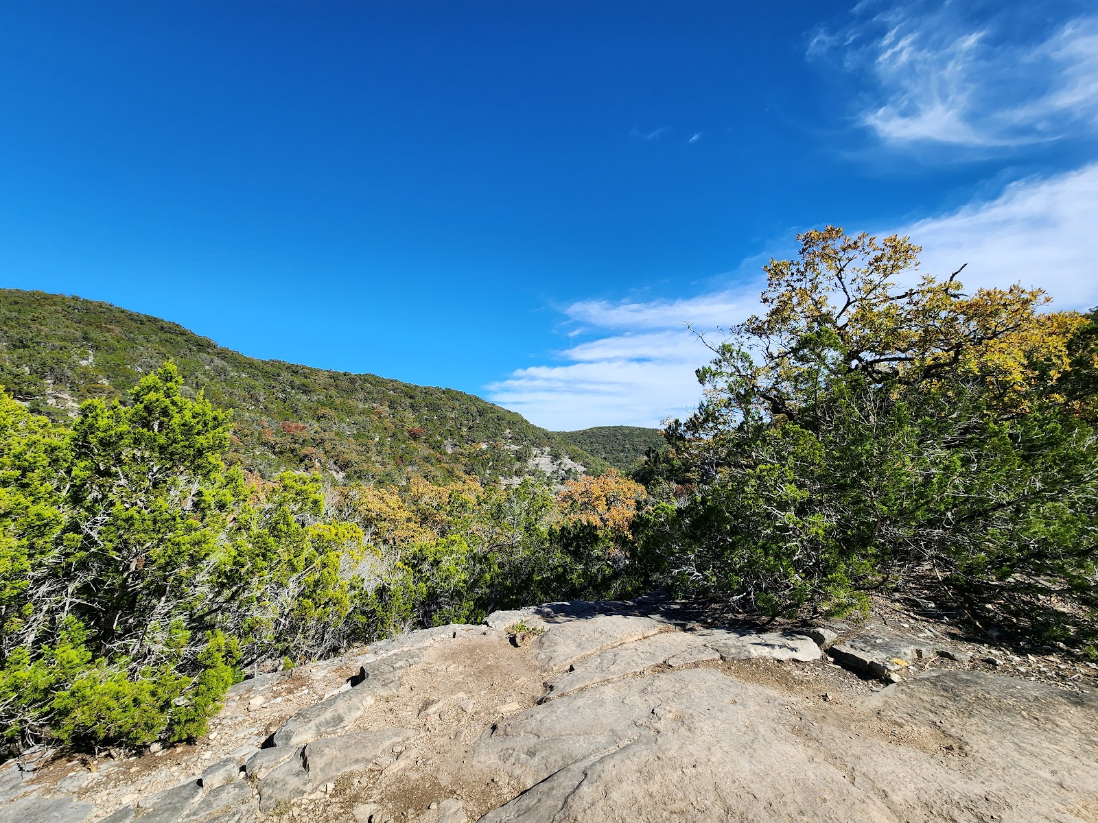 Lost Maples State Natural Area