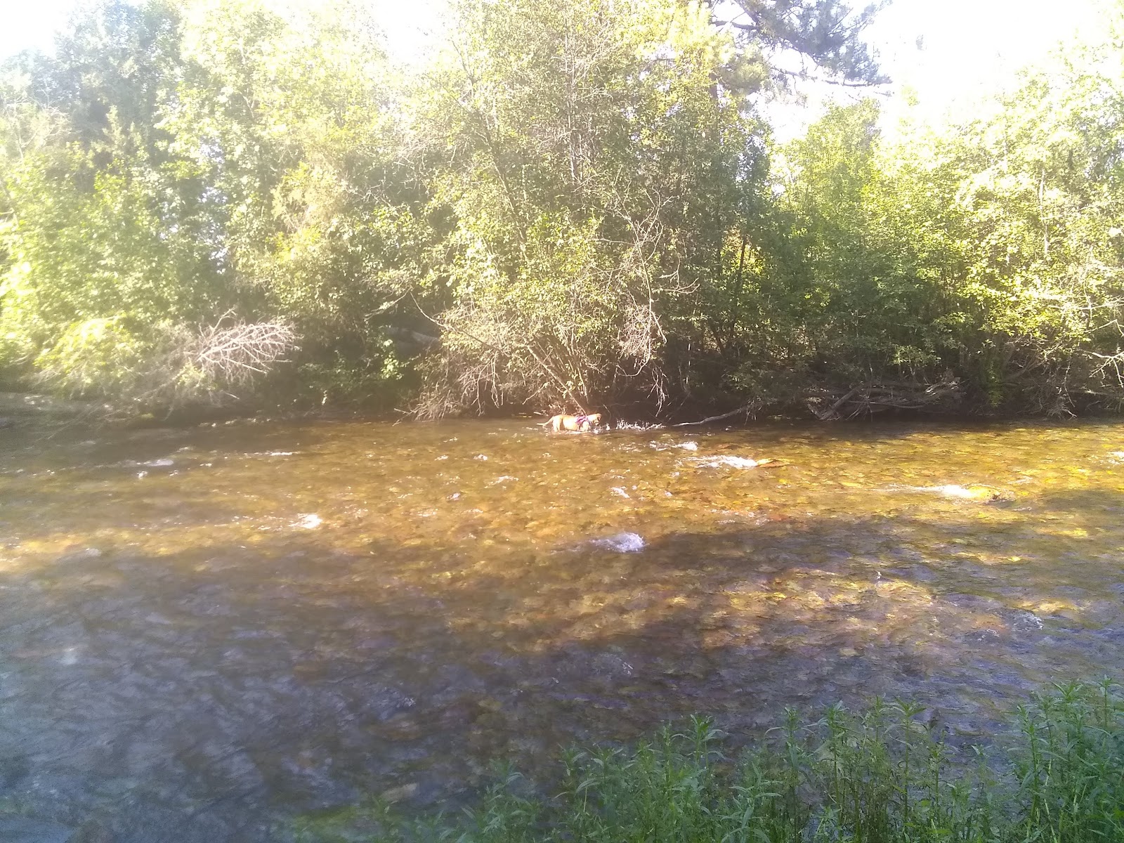Jocko Hollow Campground