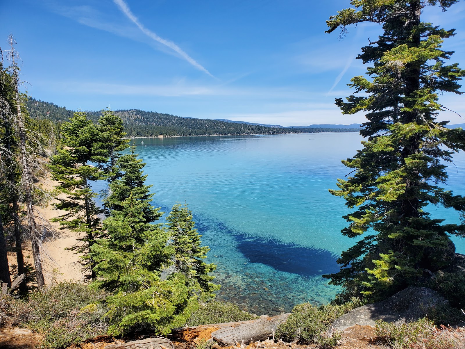 D L Bliss State Park