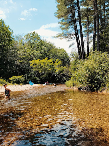Tamworth Camping Area