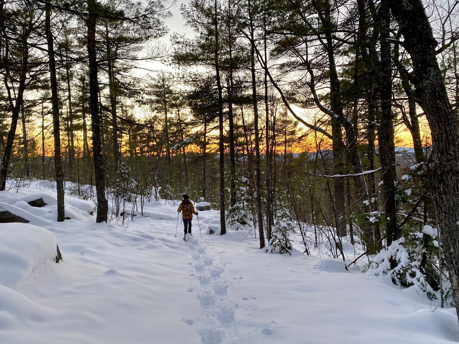 Loon Echo Land Trust