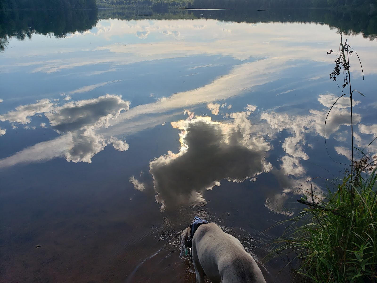Lake Sainte Kathryn NF Campground
