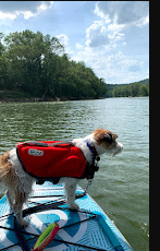 Kentucky River Campground