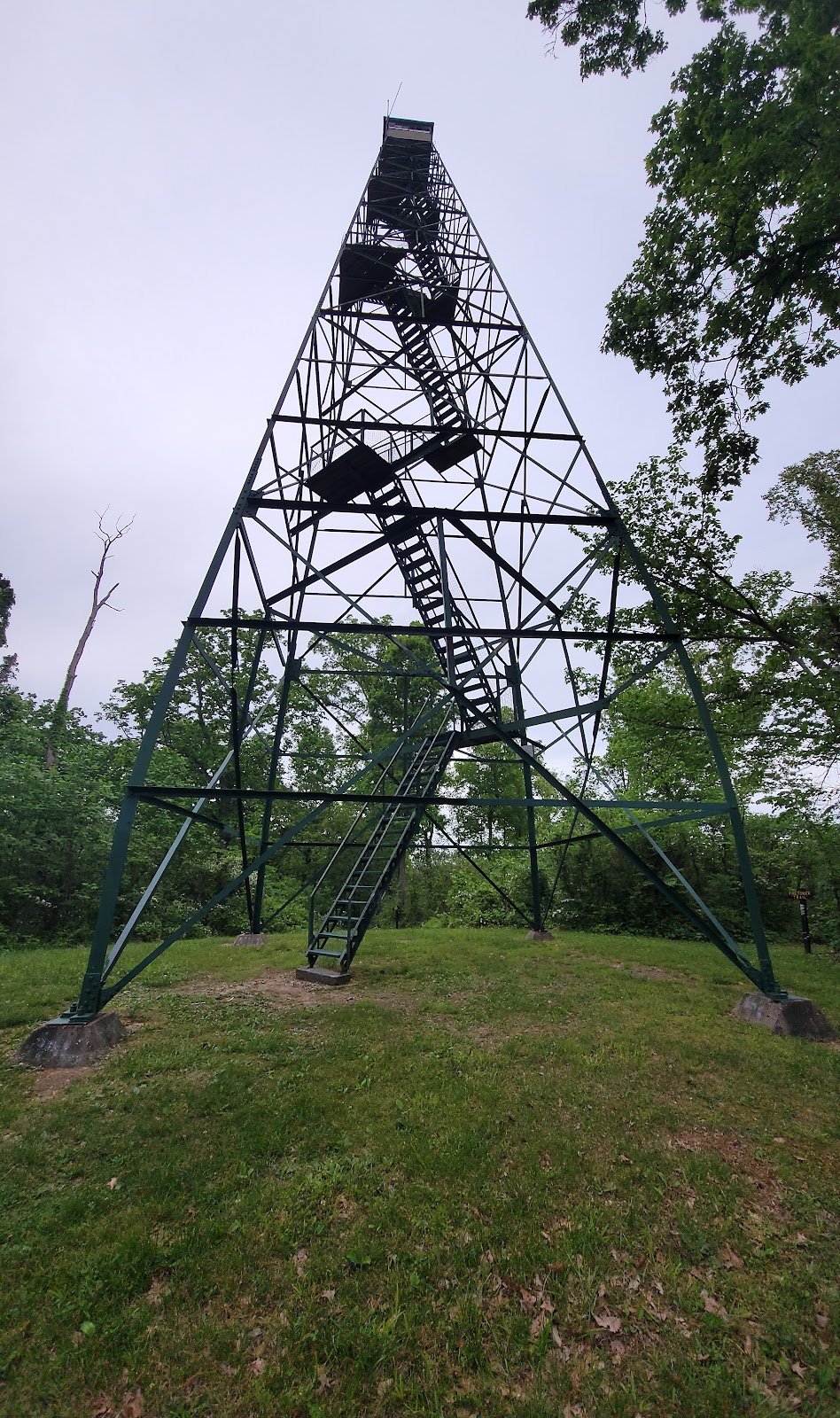 Ferdinand State Forest