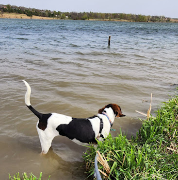 Walnut Creek Lake & Recreation