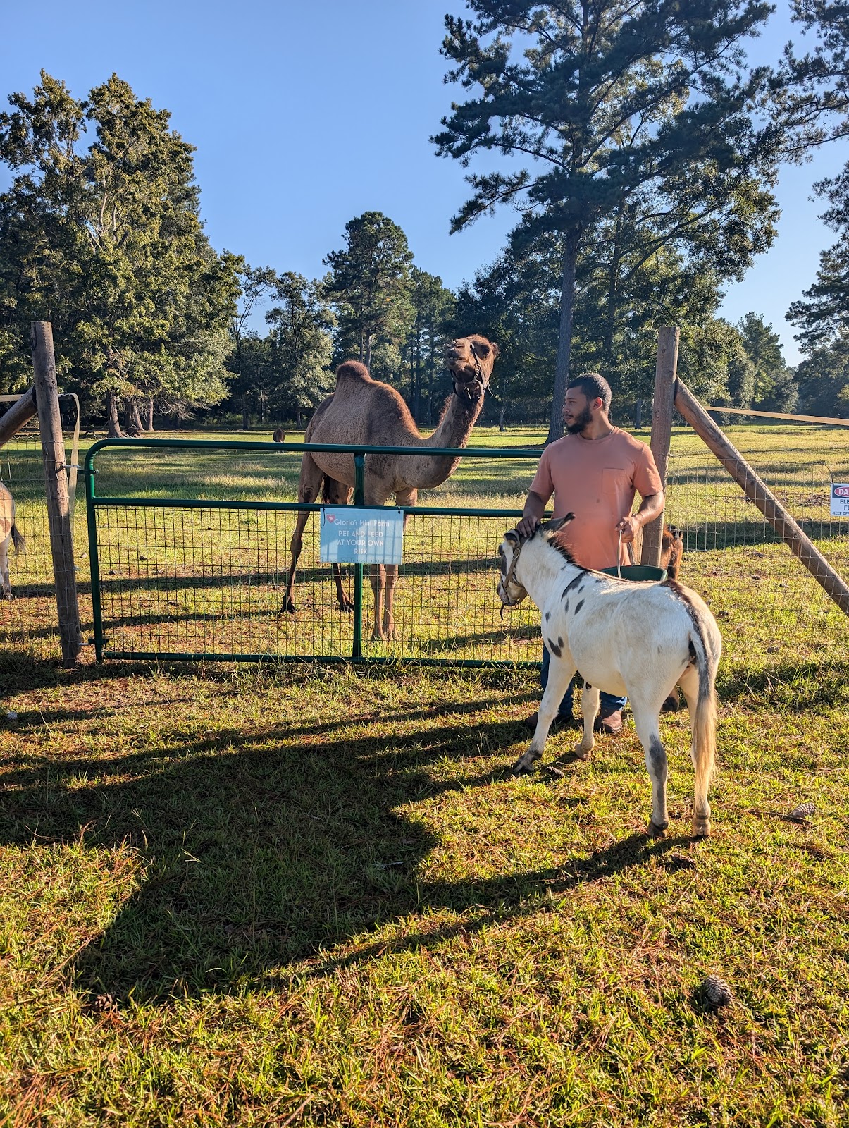 Grizzly Ranch RV Campgroundrmation