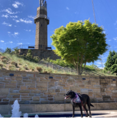 Vulcan Park and Museum