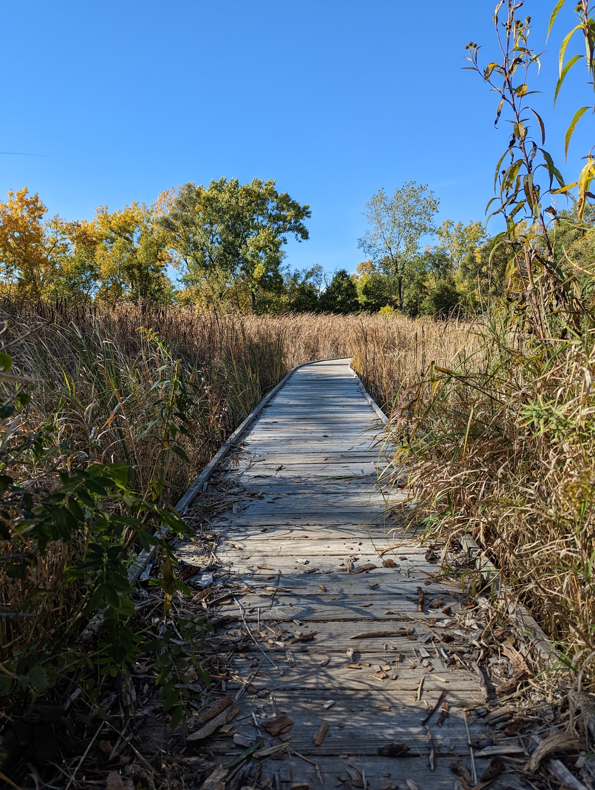 North Park Village Nature Center