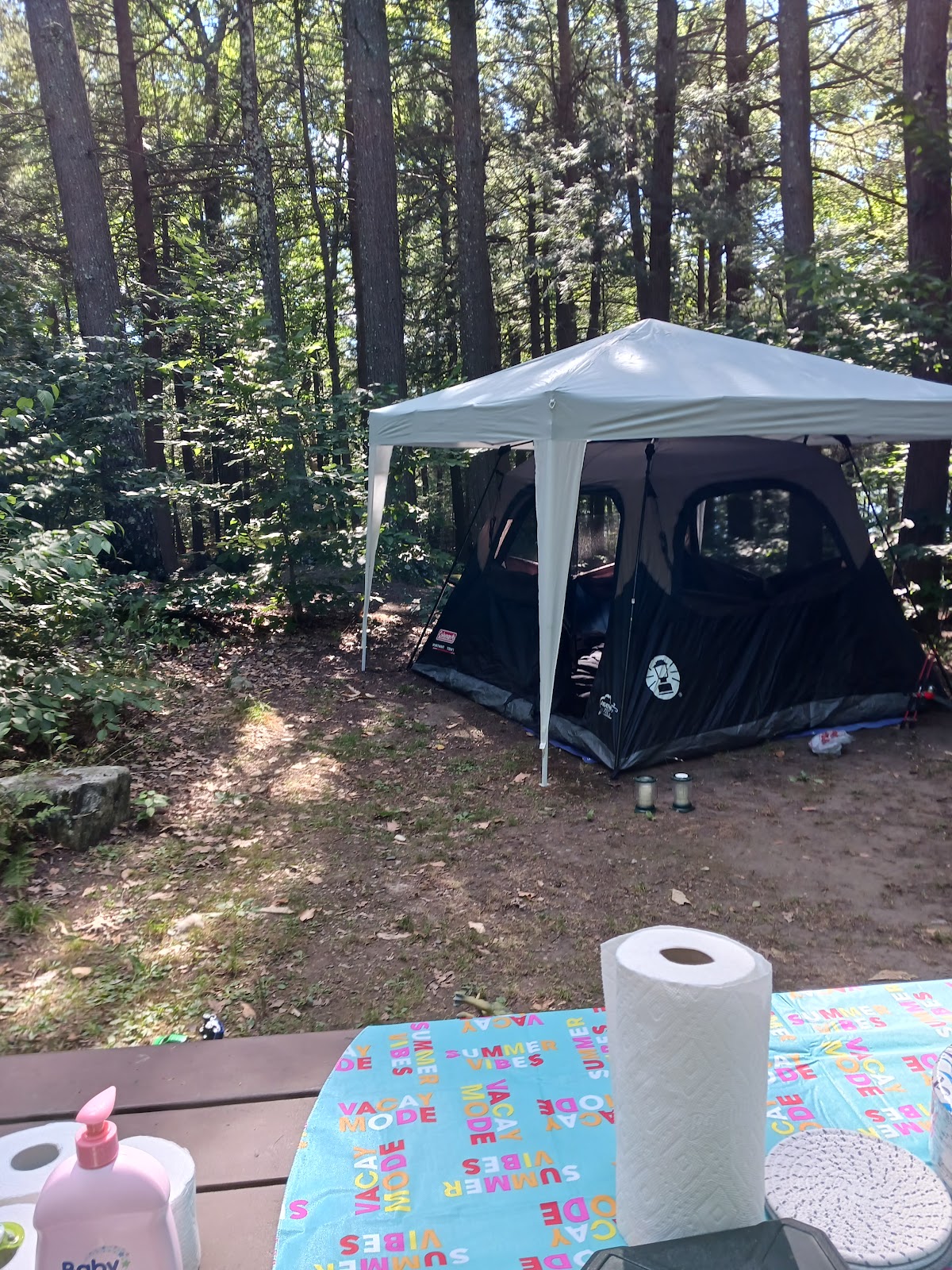 Tolland State Forest Campground